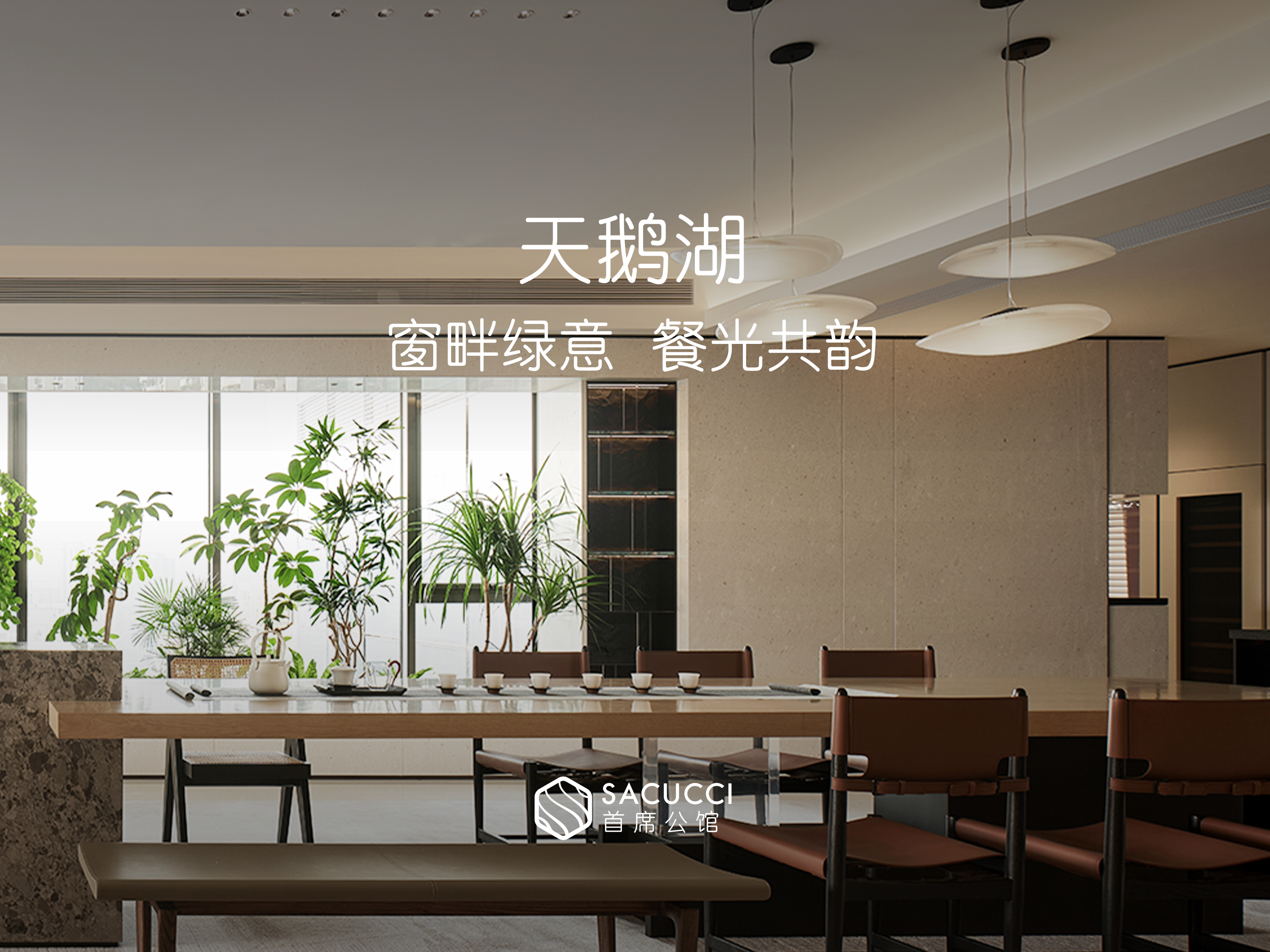 天鹅湖2