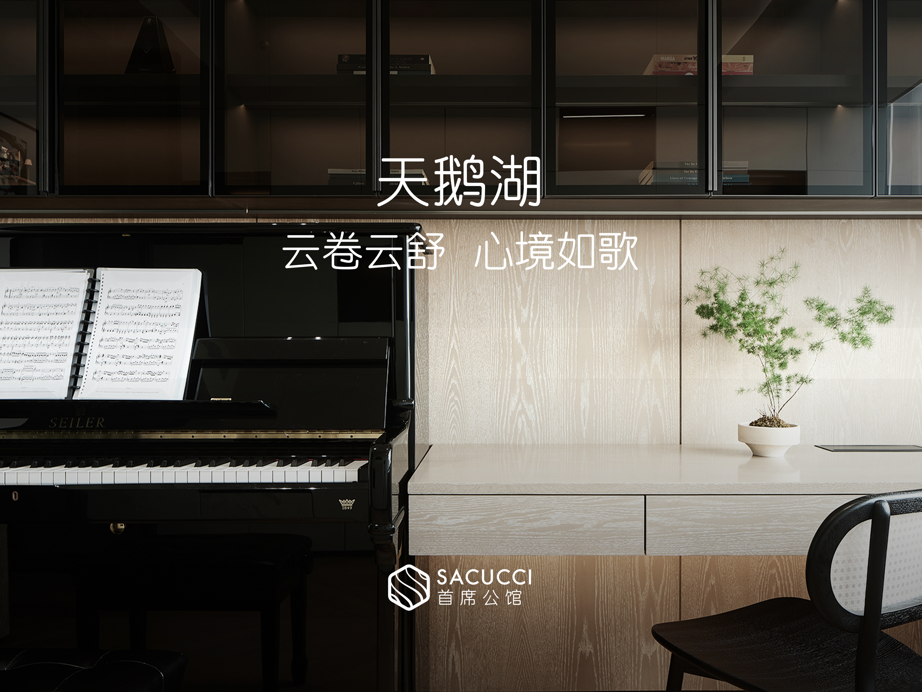 天鹅湖6